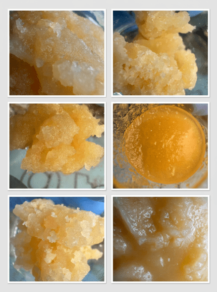 Wax World: Exotics Variety Pack