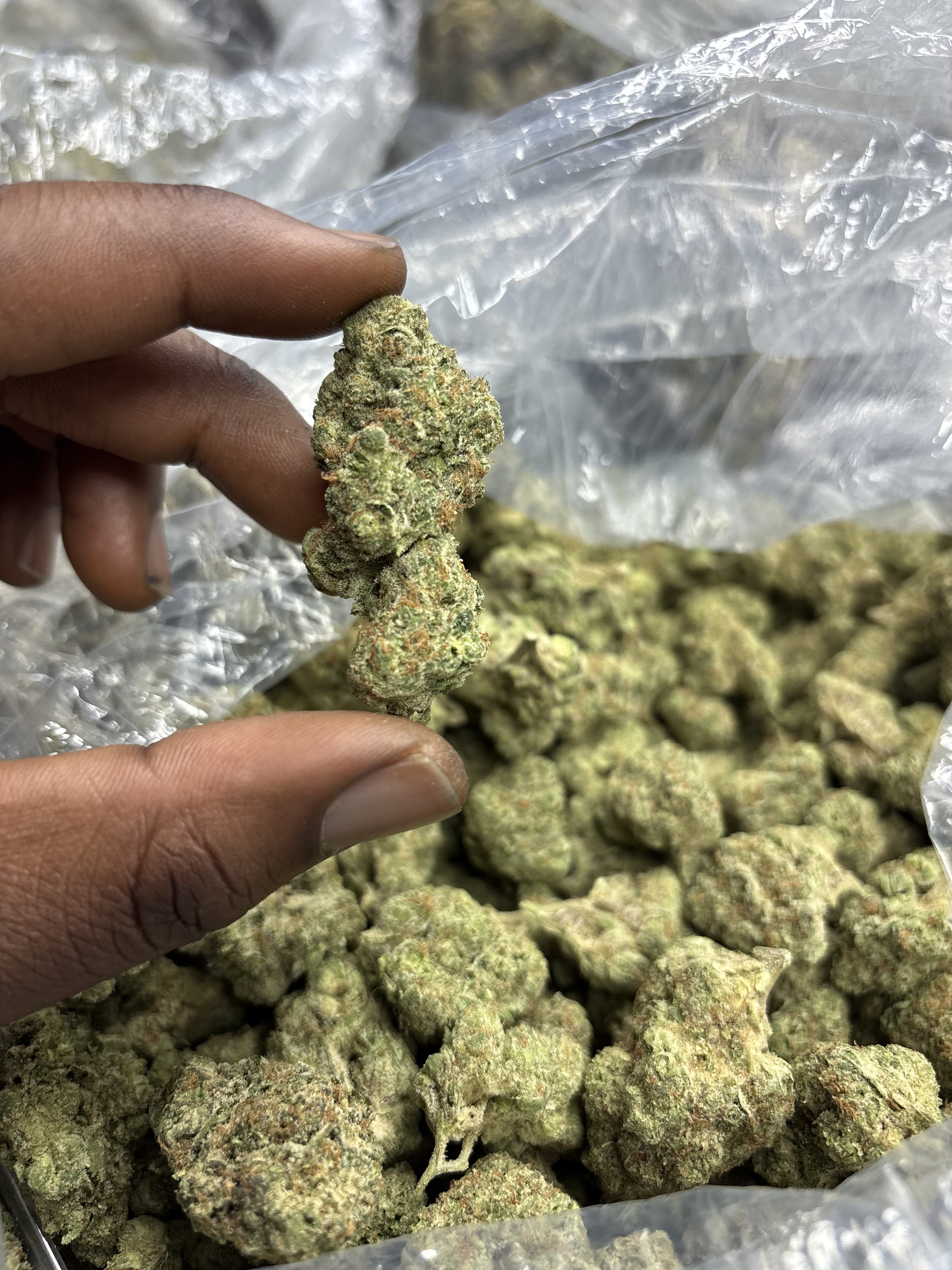 Blue glue 575