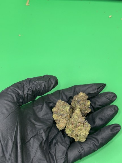 Gelato 33 (oz to lb)