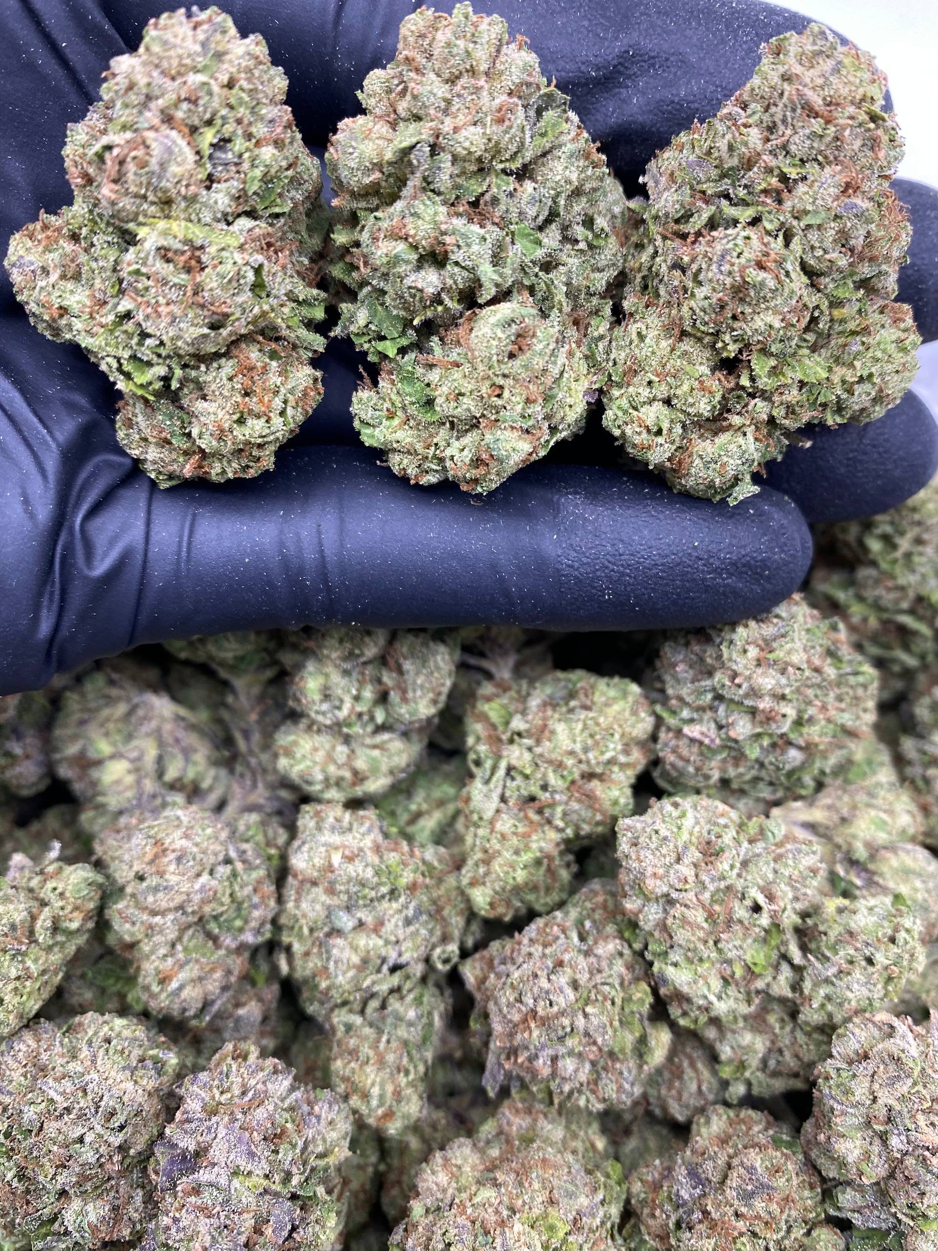 candy fuel 875