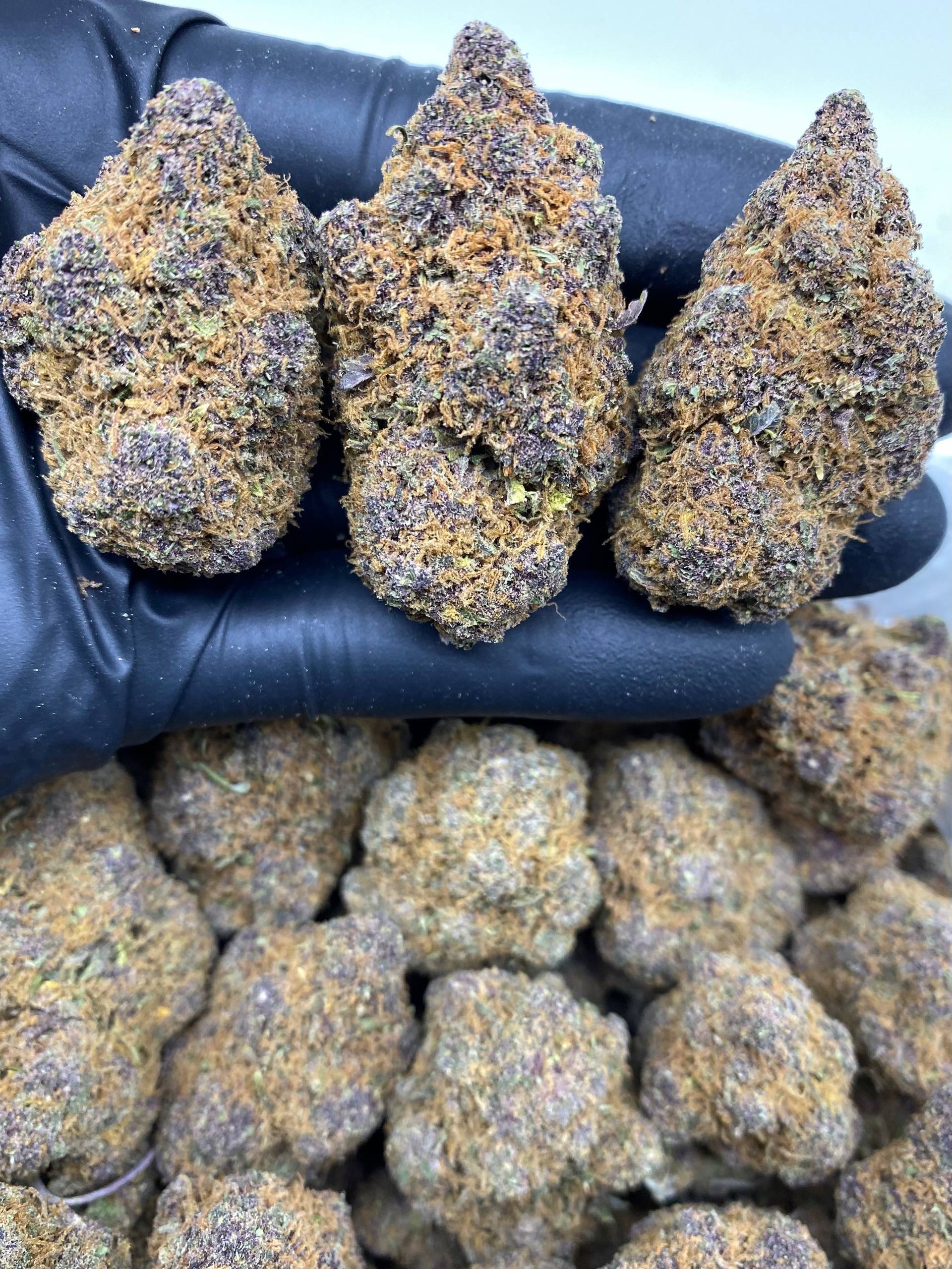 forbdien fruit 1250