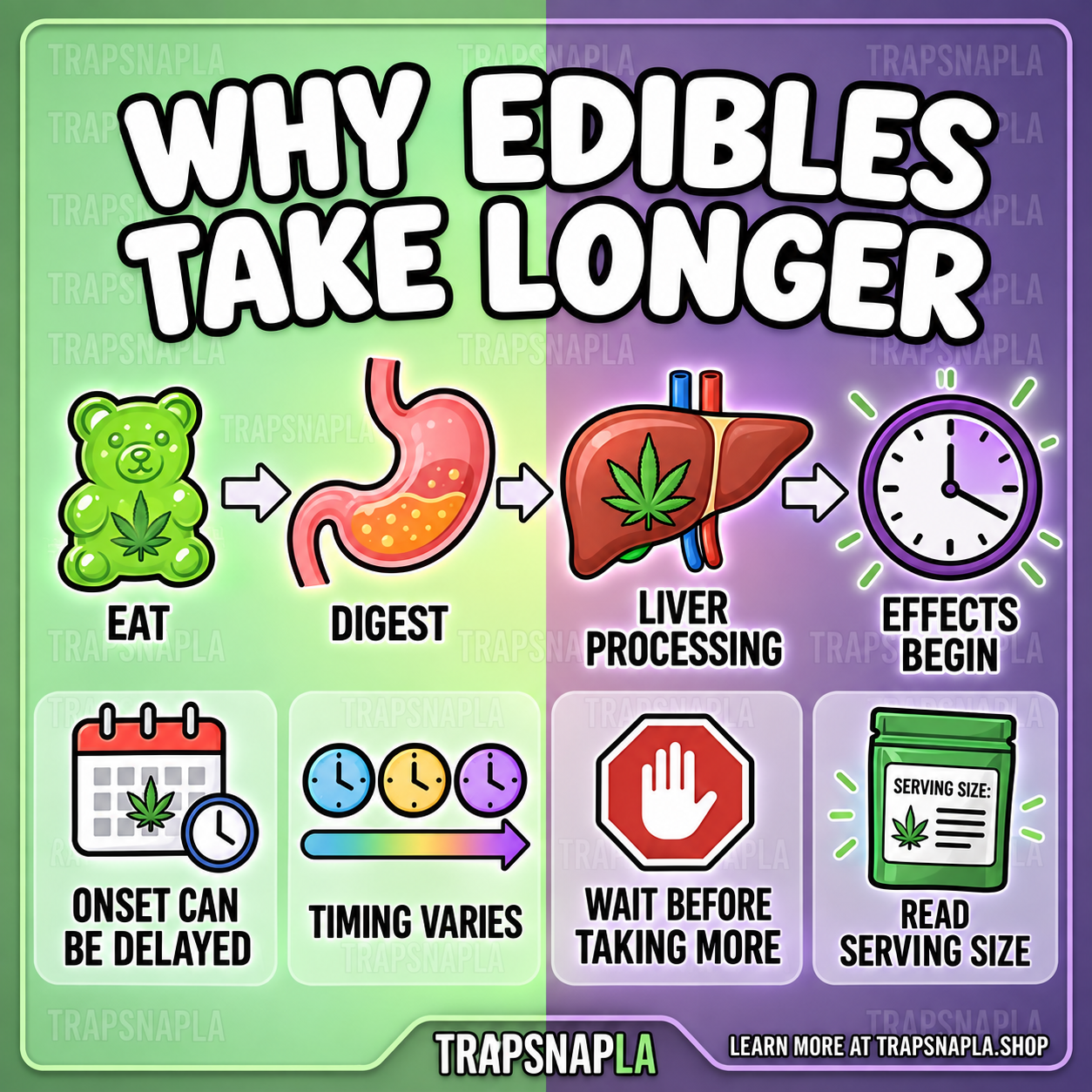 Why edibles take longer to kick in digestion and liver processing guide