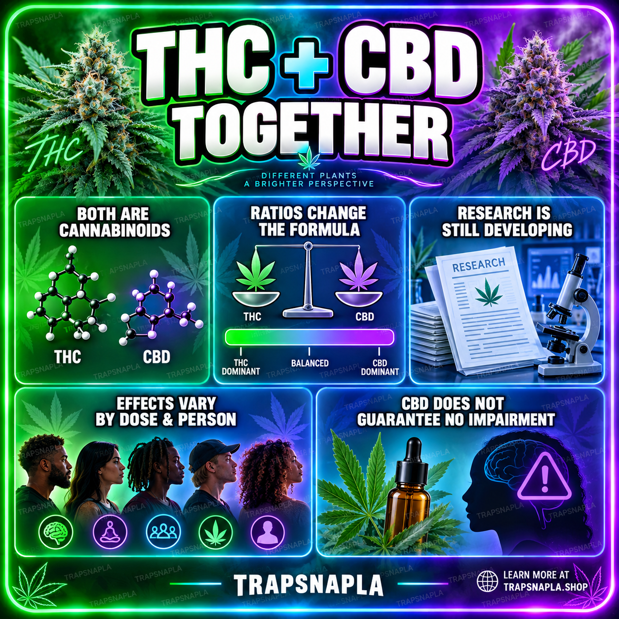 THC and CBD together educational guide