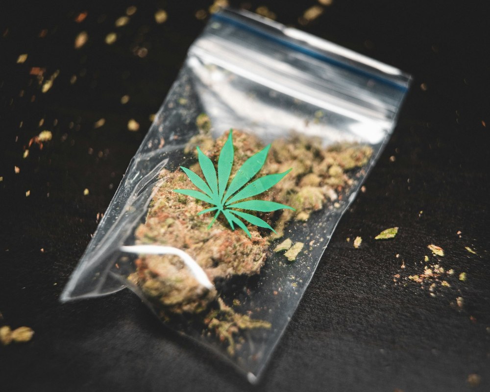 Cannabis flower inside a clear resealable bag