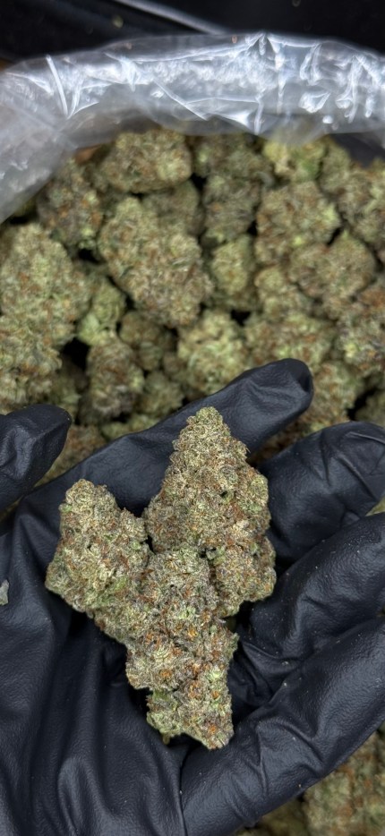 Gelato 45 flower