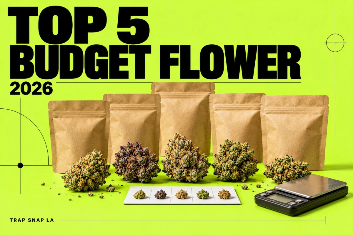 Editorial illustration for the 2026 budget flower comparison, with unbranded objects and bold magazine typography.