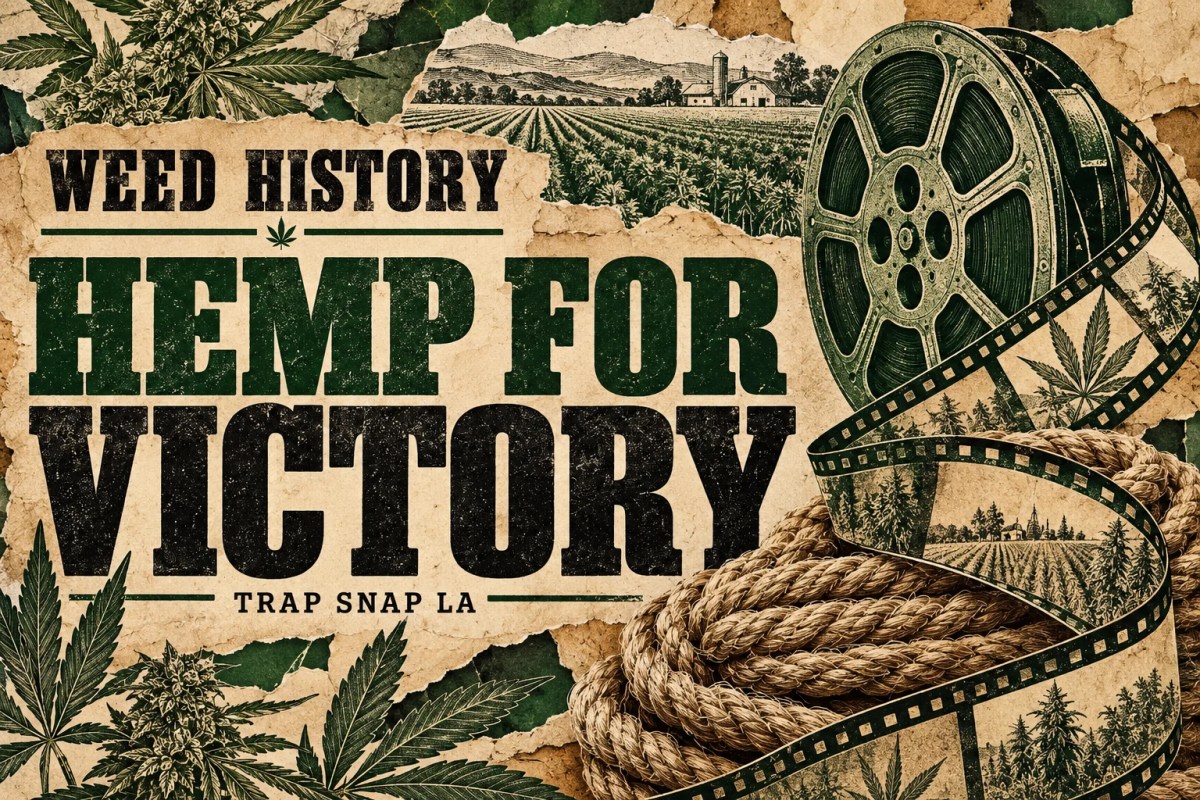 AI editorial collage of an illustrated film reel, field lines and rope for the Hemp for Victory film story.