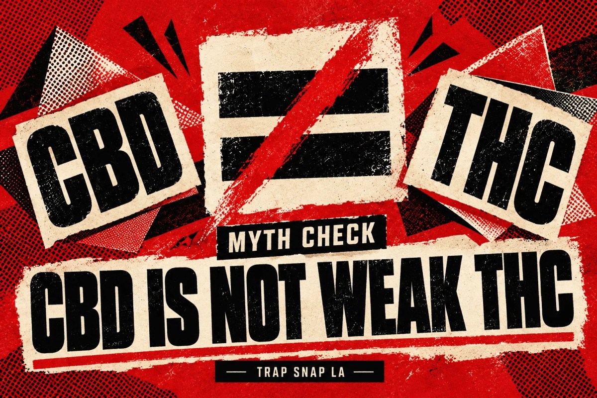 AI editorial illustration contrasting CBD and THC typography with a crossed-out equality symbol.