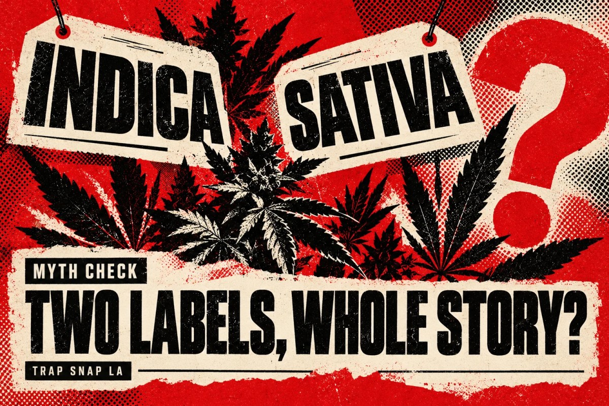 AI editorial illustration of Indica and Sativa labels above a complex layered botanical silhouette.