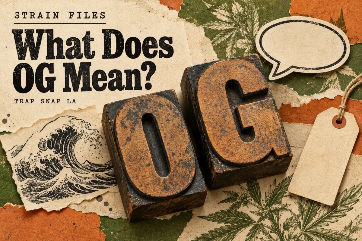 AI-generated editorial illustration: Letterpress O and G blocks surrounded by wave and speech-bubble motifs in an archive collage.