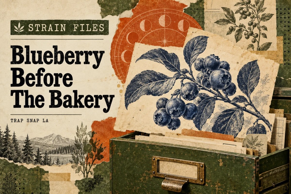 AI-generated editorial illustration: A botanical blueberry engraving layered over faded catalog shapes and an olive archive drawer.