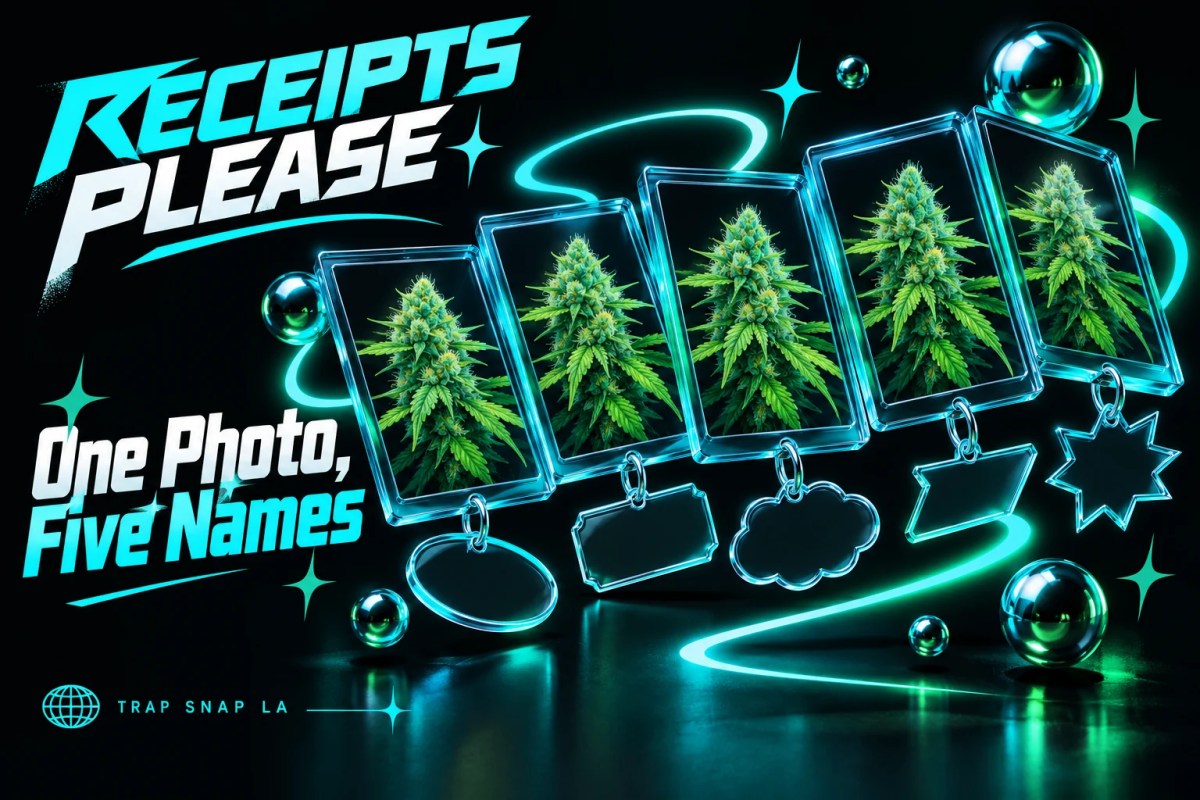 AI-generated editorial illustration: Five floating neon picture frames repeat one botanical illustration with different blank caption tabs.
