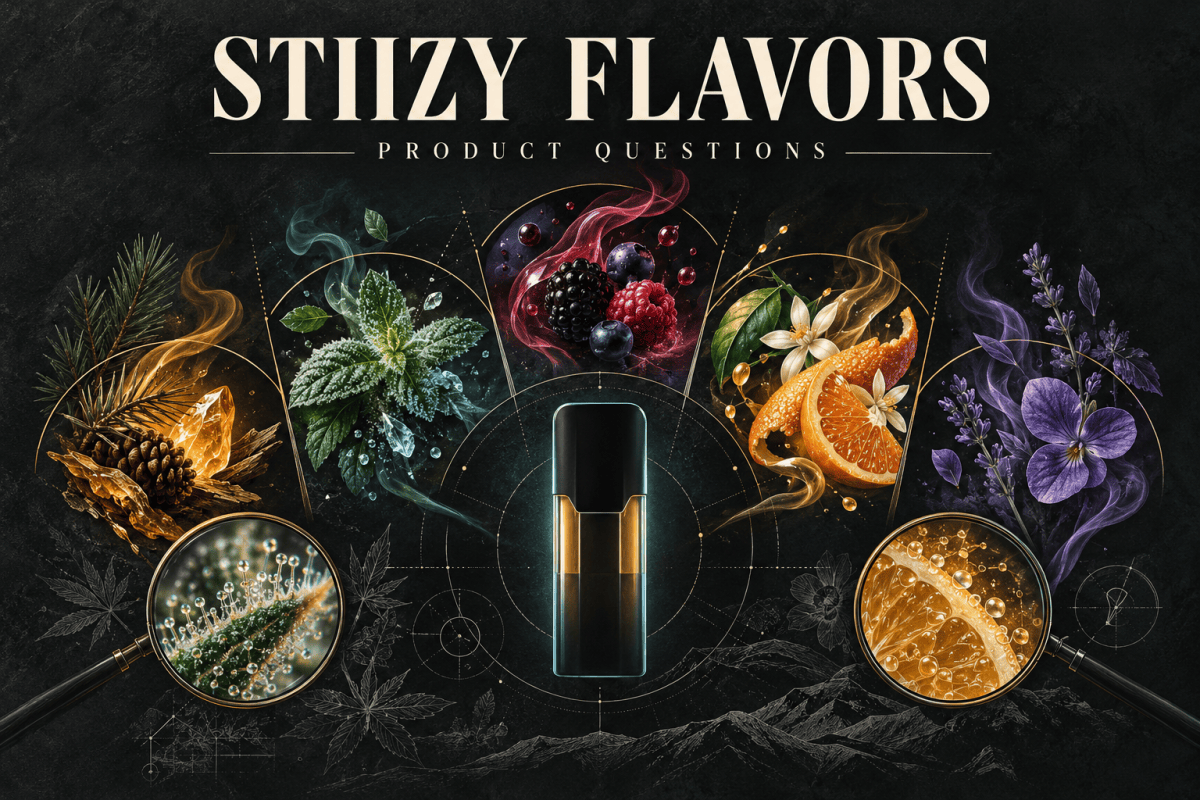 Conceptual illustration of botanical aroma arcs in berry, citrus, mint, amber and violet around an unbranded pod.