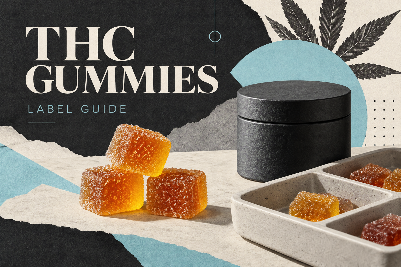 Editorial paper collage of generic gummies, serving compartments and a closed storage container.
